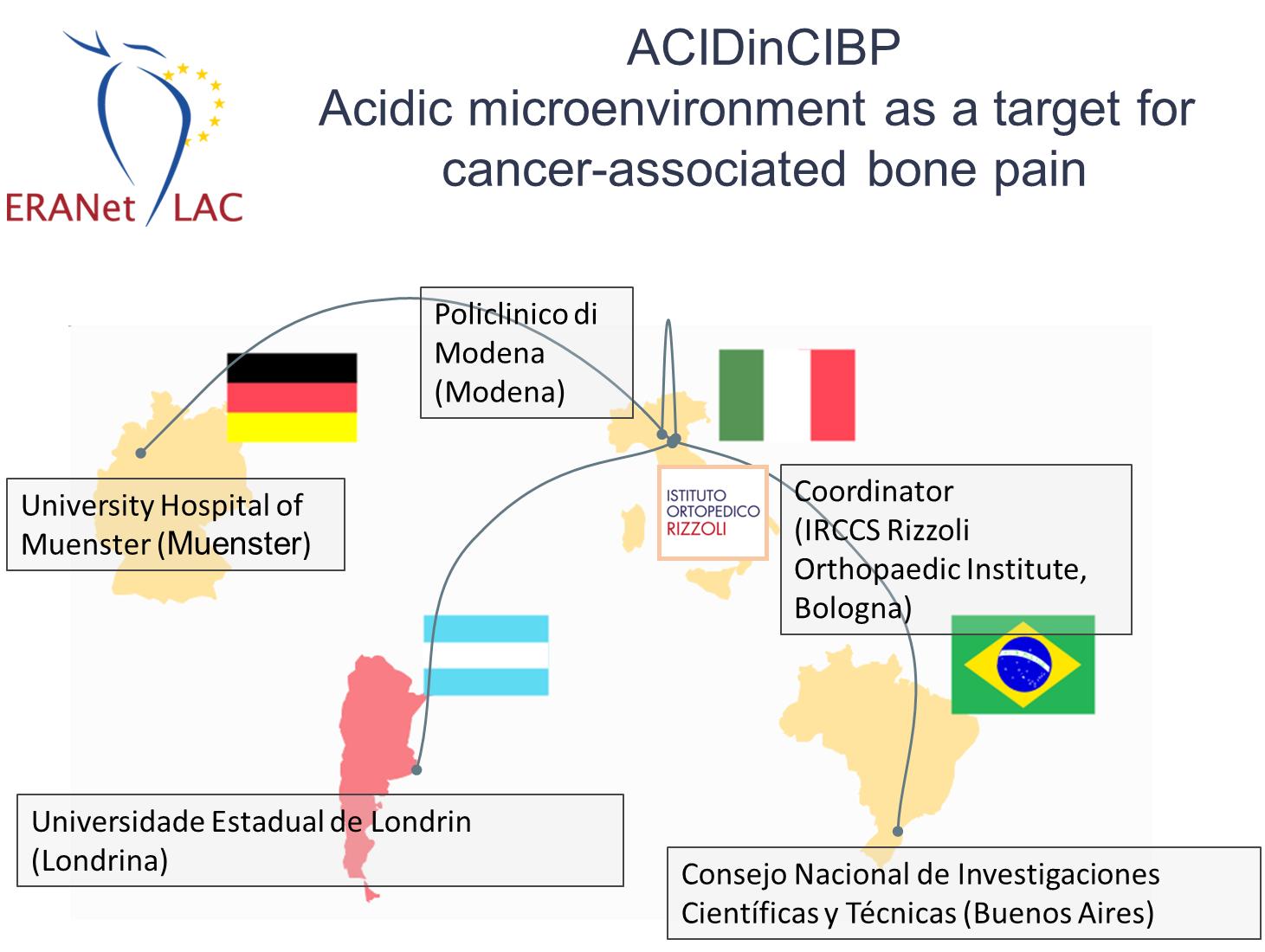 Schema partners ACIDinCIBP