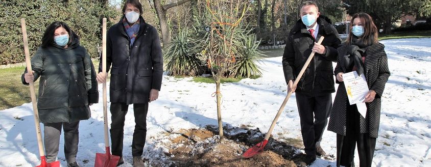 Foto durante la piantumazione del Melograno nel giardino del Rizzoli