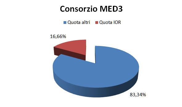 Partecipazione dell'Istituto Ortopedico Rizzoli nel Consorzio MED3 al 31/12/2020