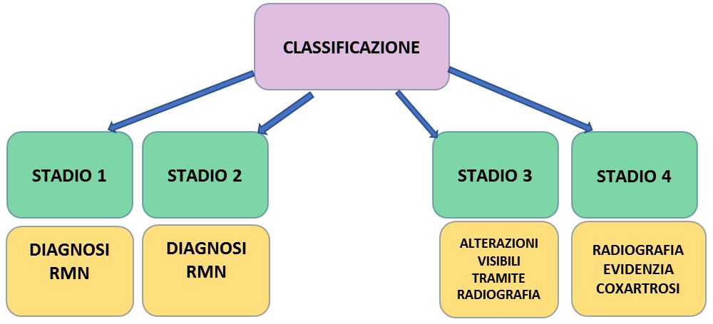 Osteonecrosi, classificazione