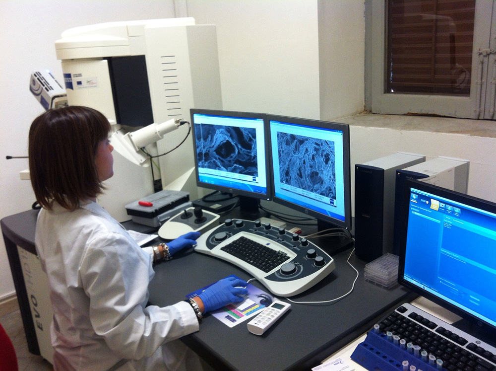 Fig. 1 - Microscopio elettronico a scansione (EVO DH15 – Zeiss)